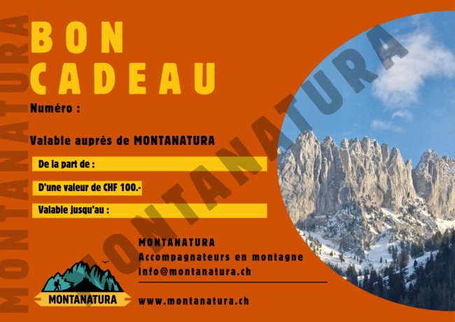 Bon cadeau CHF 100.-