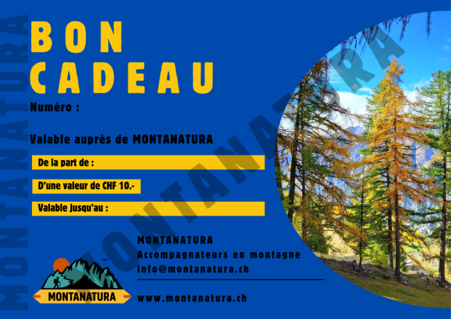Bon cadeau CHF 10.-