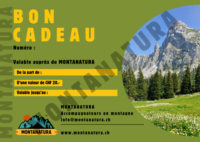 Bon cadeau CHF 20.-